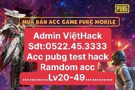 ACC PUBG CLONE TEST HACK